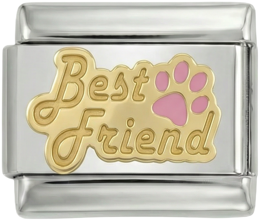 Best Friend Paw Silver - best-friend-paw-silver.png
